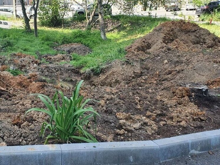 Женщина встала грудью на защиту черемуховой рощи от парковки во Владивостоке