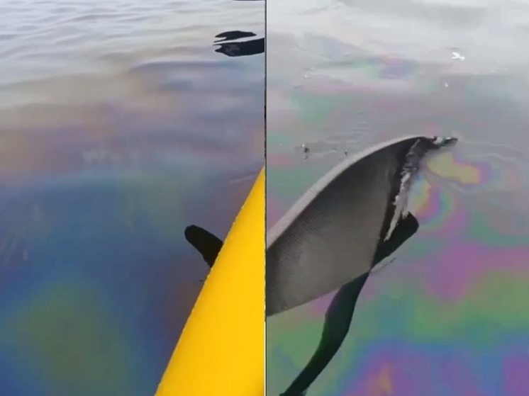 Прокуратура проверит разлив нефтепродуктов у острова Путятина в Приморье