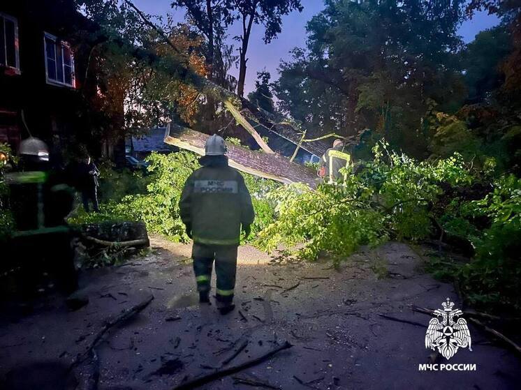 На улицах города в Тверской области попадали деревья из-за ветра