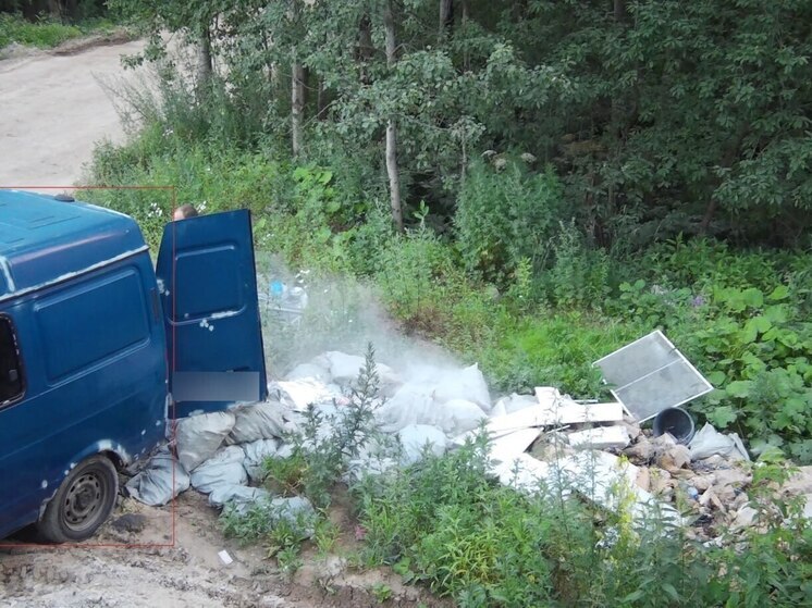 Около Долгопрудного в лесу сброс мусора сняла фотоловушка