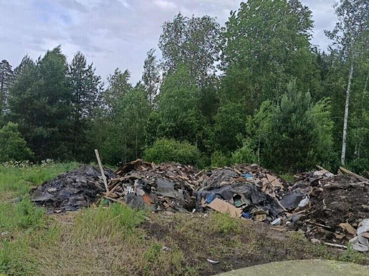 В калужском лесу обнаружили свалку