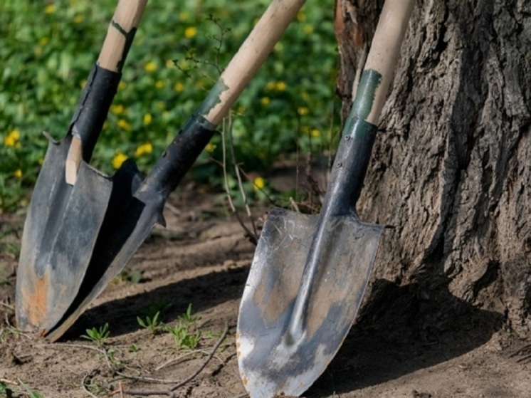 Почти 3000 волгоградских школьников нашли работу на летние каникулы