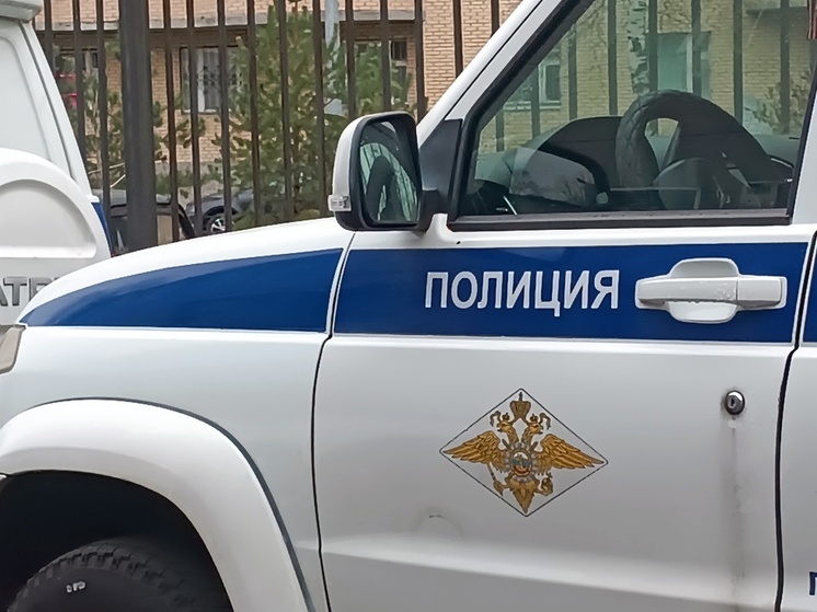 Житель Приозерского района стрелял по прохожим и попал в 12-летнего мальчика