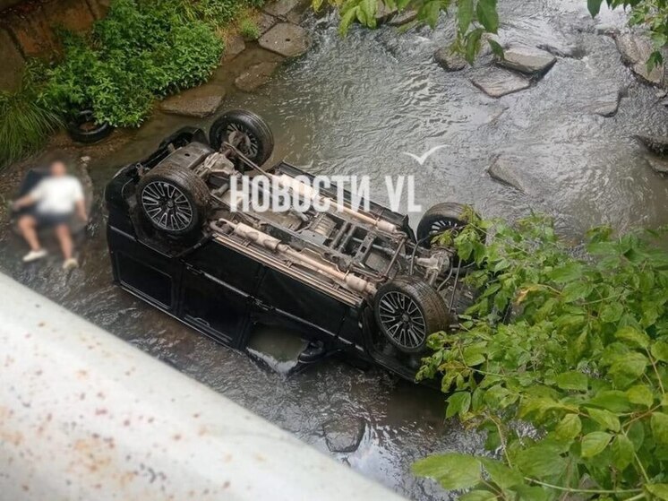 Во Владивостоке «Гелик» рухнул с моста в реку на Бородинской: мужчина лежит рядом