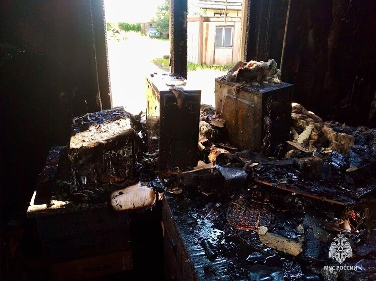 Грозовой разряд стал причиной пожара в Стругах Красных