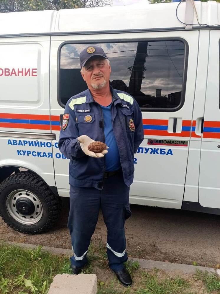 На улице Чумаковской в Курске нашли взрывоопасный предмет