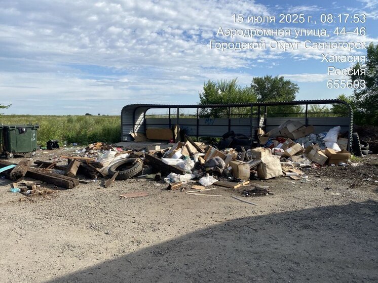 Перед Днем металлурга в Саяногорске проводят капитальную зачистку мусора