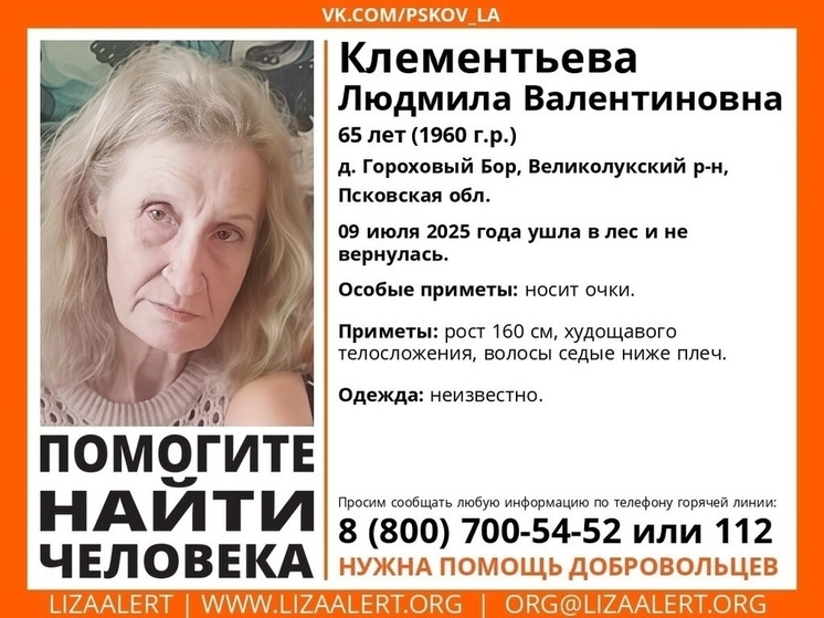 В Псковской области продолжаются поиски 65-летней жительницы Великолукского района