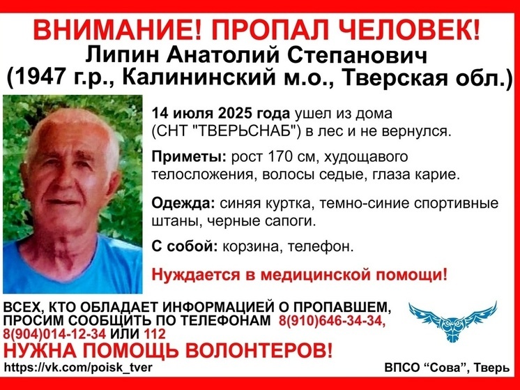 78-летний грибник пропал в лесу под Тверью