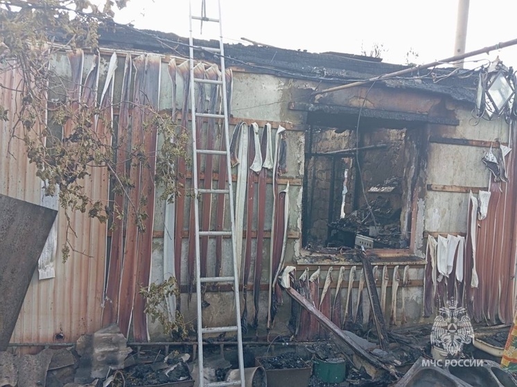В Ростовской области женщина чудом спаслась сама и вытащила супруга — инвалида из горящего дома