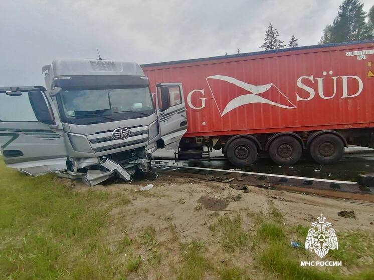 На М-10 в Тверской области грузовик влетел в ограждение