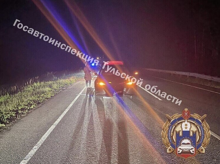 В Туле пешеход погиб под колесами Changan в темное время суток