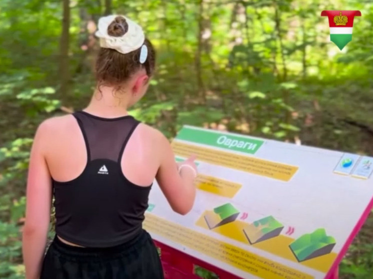 В Комсомольской роще Калуги открыли экотропу