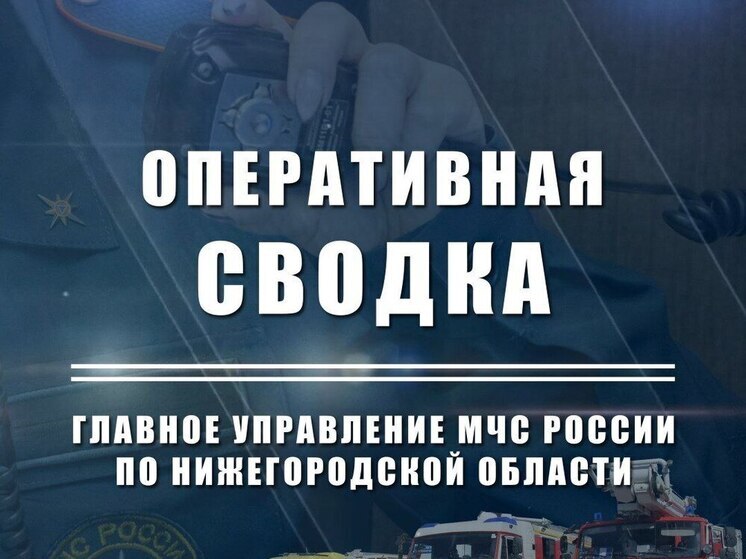 8 пожаров потушили МЧСники в Нижегородской области за сутки