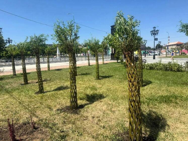 В Невинномысске улицы украсили 98 плетёных декоративных ив