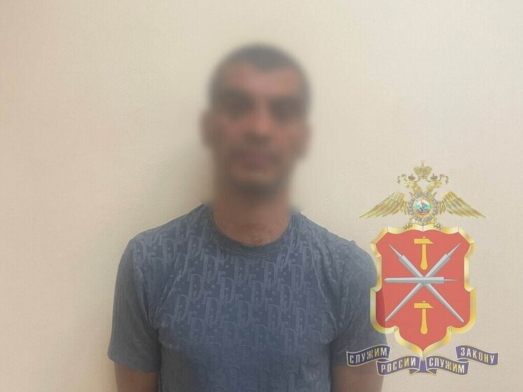 В Туле задержан подозреваемый в краже техники у жителя Плеханово