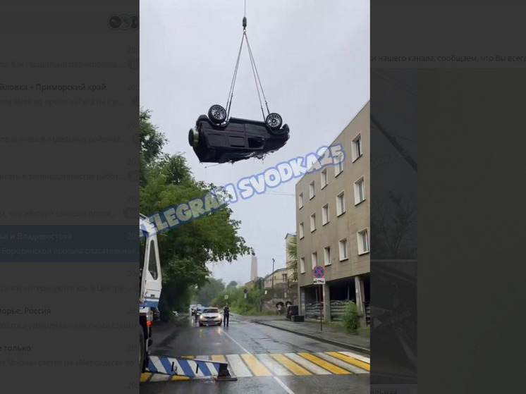 Раскрыта личность водителя «Гелика», слетевшего в реку с моста во Владивостоке