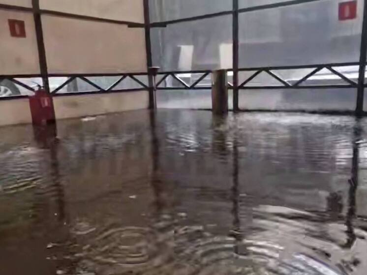 Юнашев: во время дождя в Москве в Госдуме затопило курилку