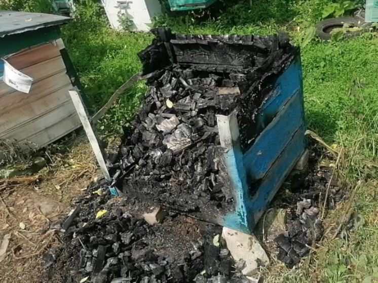 На Брянщине нашли поджигателя пасеки