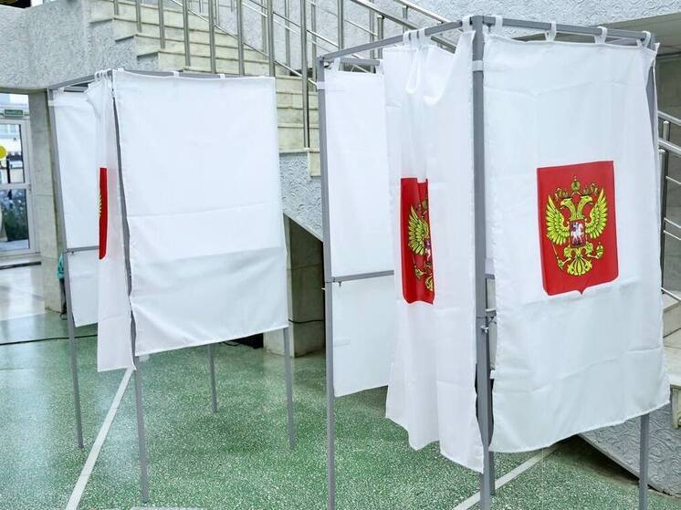 Челябинское «Яблоко» не проходит в ЗСО: почему не собрали подписи