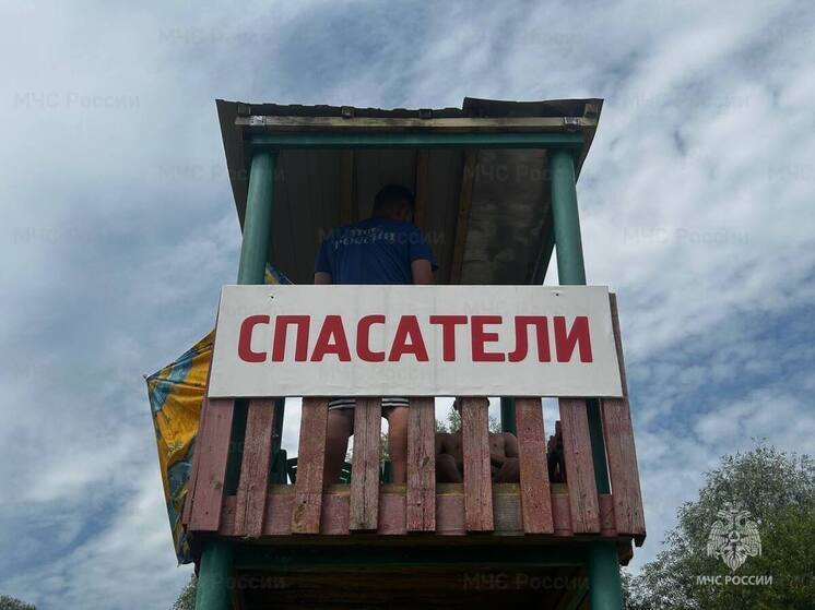 За калужанами на пляжах  установили наблюдение