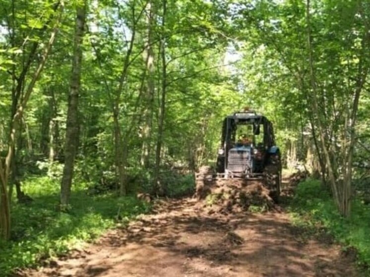 В лесничествах Подмосковья продолжаются противопожарные мероприятия