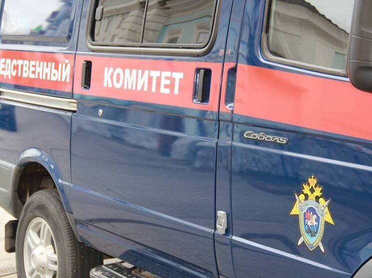 Жительница Красноярска предстанет перед судом за мошенничество