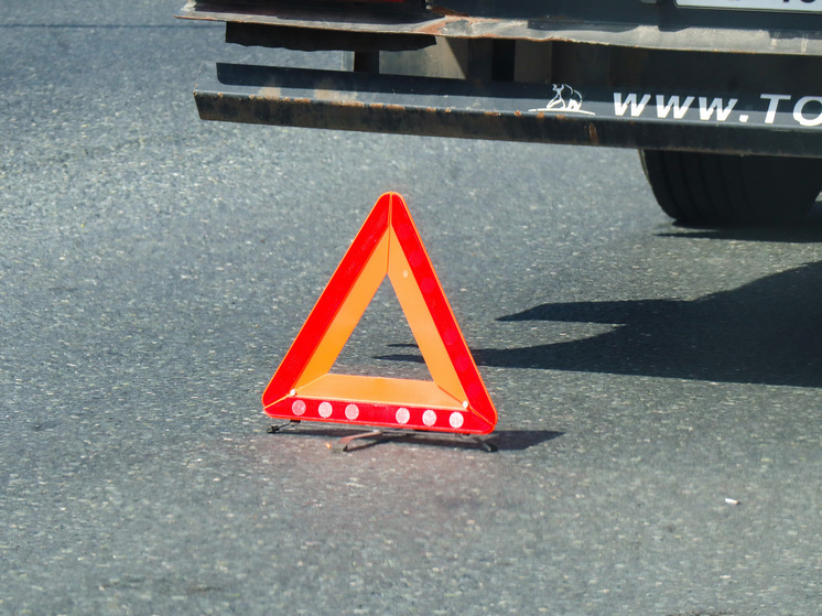 Старейшего в мире марафонца Фауджа Сингха насмерть сбила машина