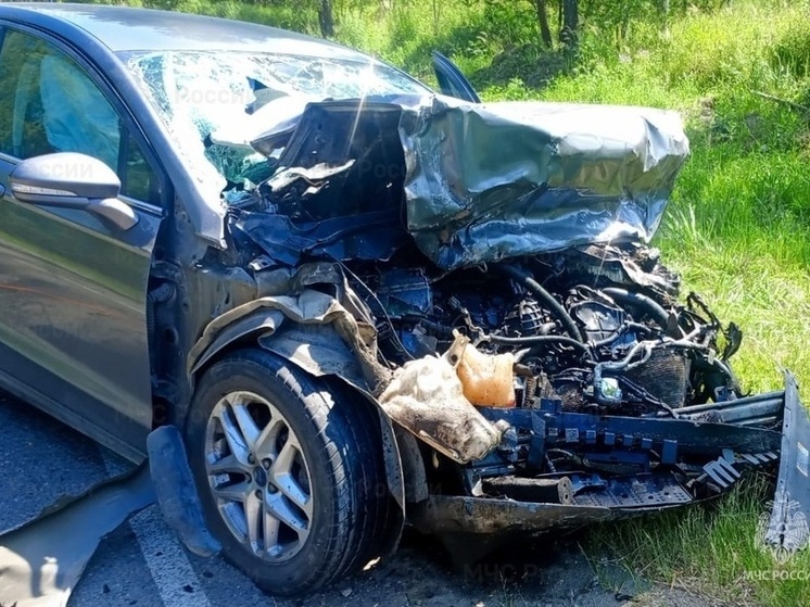 Названы детали смертельного ДТП в Перемышльском районе