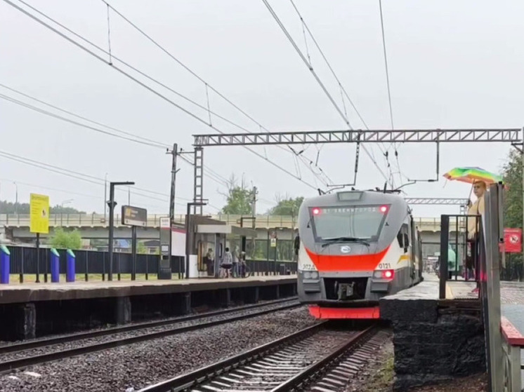 Из-за грозы произошел сбой графика движения на Казанском и Савеловском направлениях