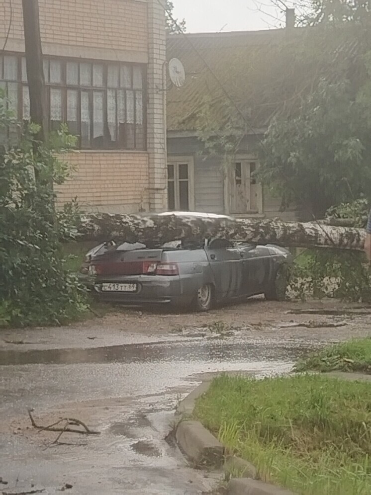 В городе Тверской области сильный ветер повалил дерево на машину