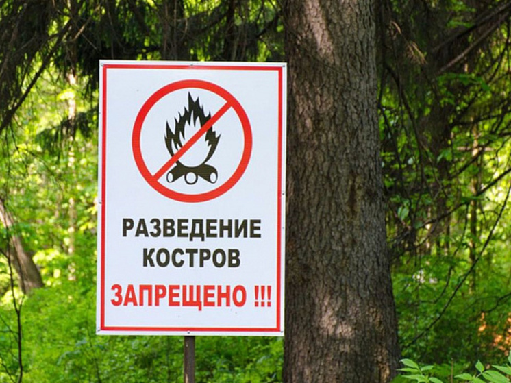 В Сочи ожидается высокая пожароопасность в лесах Лазаревского района