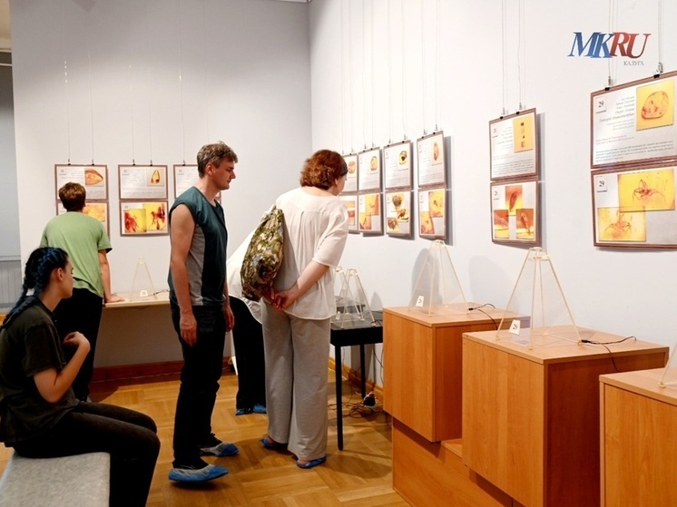 В Калуге показывают древних в янтаре