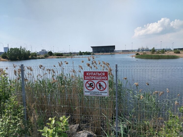 В Петербурге только два пляжа признали пригодными для купания