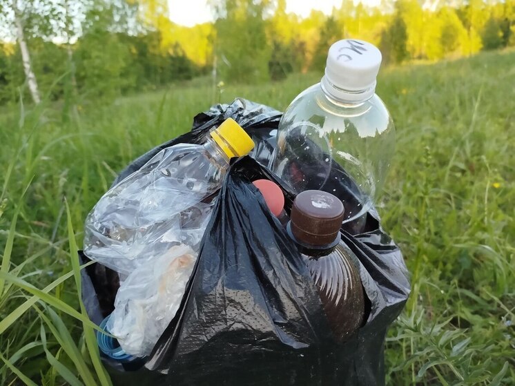 Прокуратура добилась уборки мусора на кладбище в Мончегорске