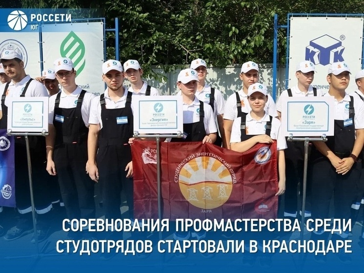 Студенты из Калмыкии участвуют в турнире будущих энергетиков