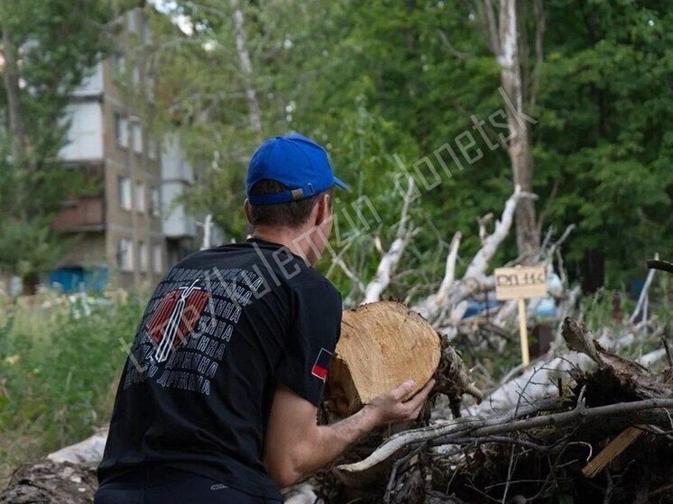 Волонтеры в Донецке убирают упавшие деревья