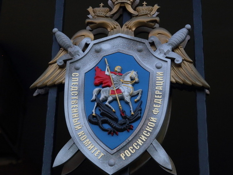 В Пензе возбудили уголовное дело по факту домогательств в отношении школьницы