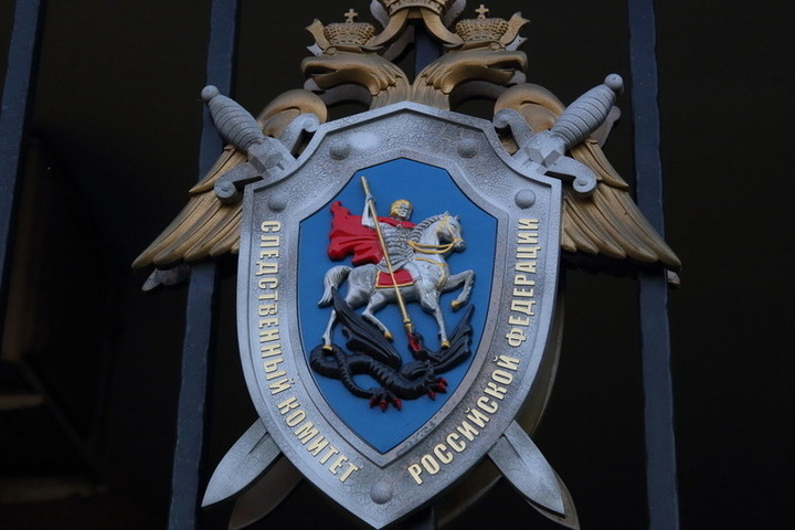 Бастрыкин запросил доклад по делу о домогательствах мигранта к школьнице в Пензе