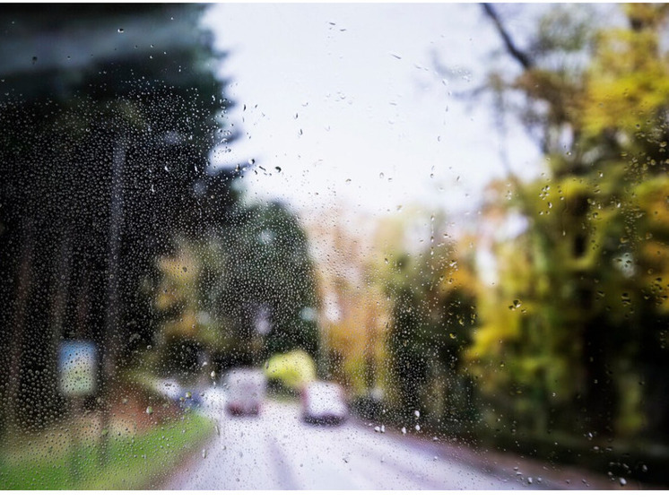 Сезон дождей продолжается: погода в Томске на 16 июля