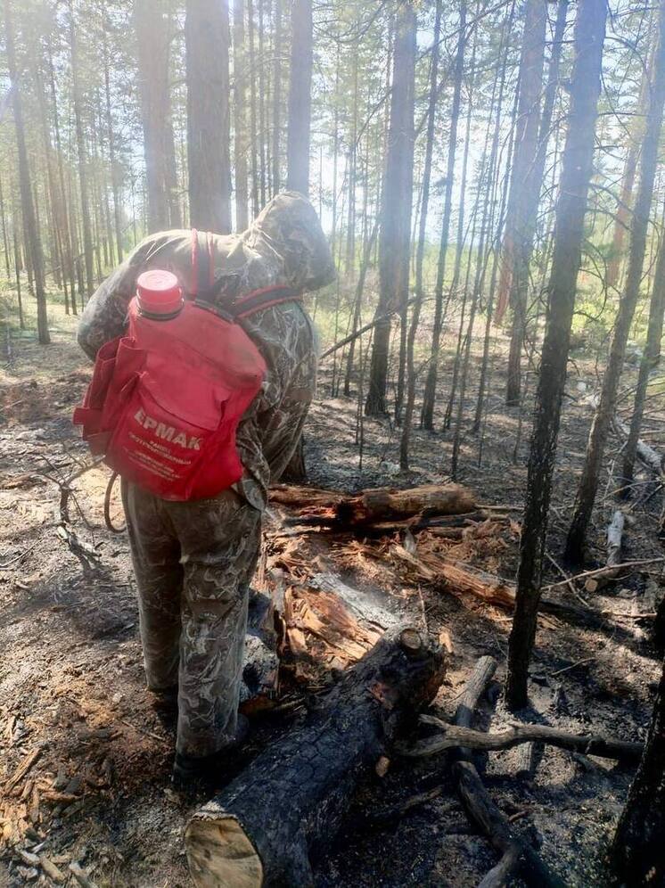 В Бурятии тушат 4 лесных пожара, тайгу поджигают сухие грозы