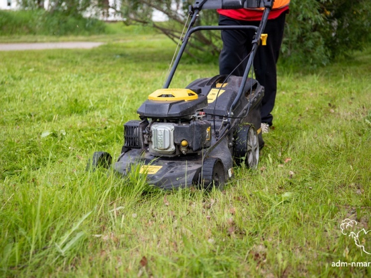 О правиле 10 сантиметров при покосе травы напомнили в НАО