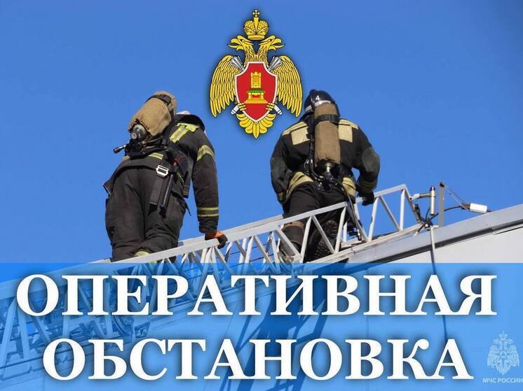 Горел мусор и дома: в МЧС опубликовали статистику за сутки
