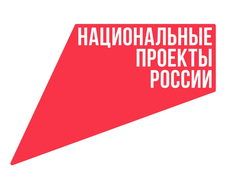 Новые национальные проекты: перезагрузка развития России