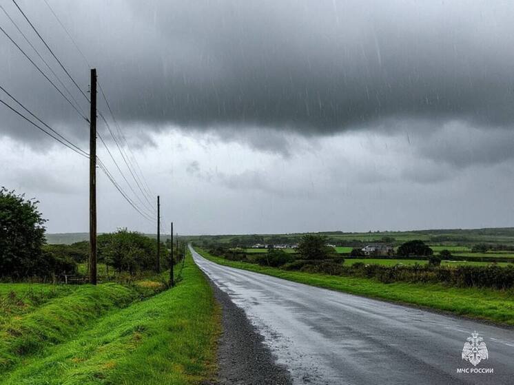 Грозы и ливни ожидаются в Псковской области сегодня