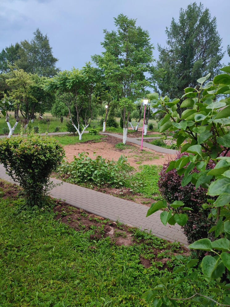 Депутаты подарили школьникам Малоярославца диковинное растение