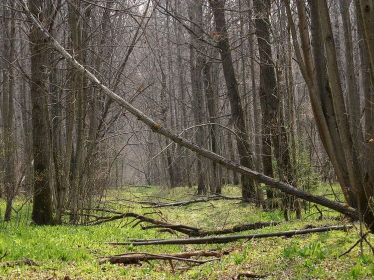 «Калужские засеки» объявляют сезон экскурсий