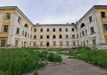В Богородицком районе Тульской области в первой половине лета этого года выставили на продажу ветшающие здания