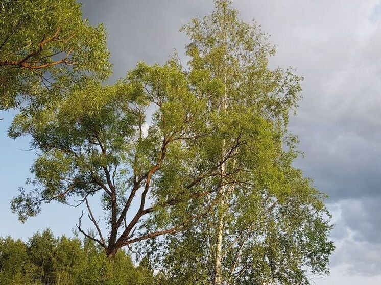 В Подмосковье объявили «желтый» уровень из-за грозы