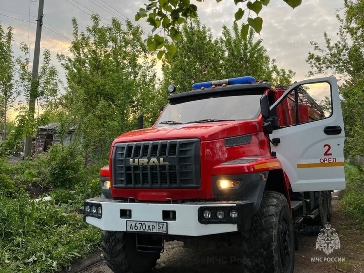 В Орле сотрудники МЧС помогли стрижу